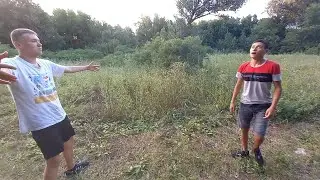 яйцедо