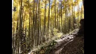 Maroon Bells Scenic Area