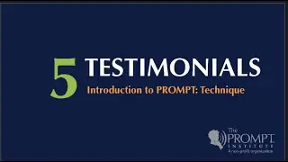 5 Testimonials from Introduction to PROMPT in person workshop