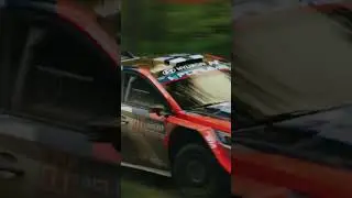 WRC Rally Beautiful Race