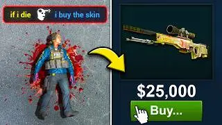 I Bought Every Skin I Died To... (CS2)