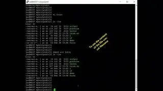 Linux 91 (For Loop Script)