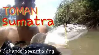 Nembak ikan Toman babon// way terusan