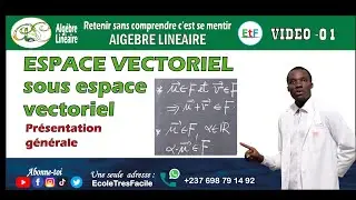 Algèbre Linéaire #1 Espace et sous espace Vectoriel - Présentation générale