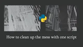 Clean your Ninja Ripper imports automatically! (Blender Tips)