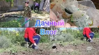 Полили огород / Срезала кинзу / Конец отпуска / Дачный влог
