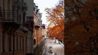 САНКТ-ПЕТЕРБУРГ В НОЯБРЕ: ОЧАРОВАНИЕ ОСЕНИ И ЗИМЫ! 🍂❄️