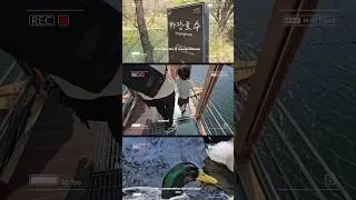 pov: you find a hidden lake trail in Korea 흥 experience 🌸#kinfluencer #koreatravel #kinfluencer2024