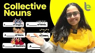 Collective Nouns - English Grammar Practice | Learn English With Ananya 