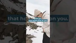 Horse Snot in Iceland #iceland #shortsfeed #funny