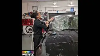 Stek windscreen protection film overview.
