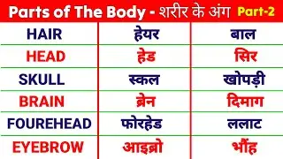 human body parts name hindi and english | शरीर के अंगों के नाम | sharir ke angon ke naam