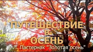 Путешествие в осень