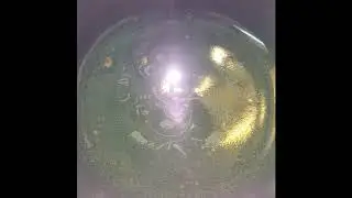 Ganesh Bowls