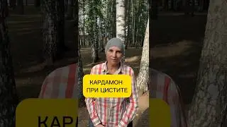 КАРДАМОН ПРИ ЦИСТИТЕ