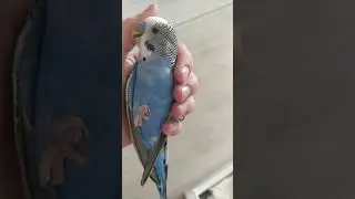 Ой,какие милые!😍🥰