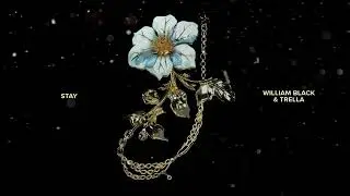 William Black & Trella - Stay