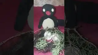 Прикрывайте гнезда
