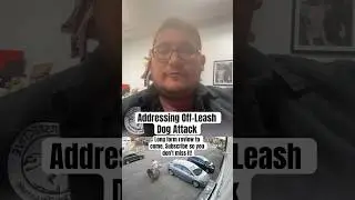 Don’t panic, let your dog defend itself 