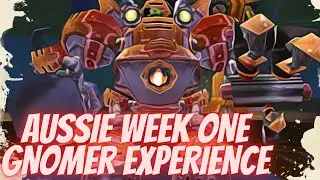 First Time Aussie Raid Leader Walks Into Gnomer Week 1 SoD