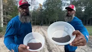 Two Seeds you Must Plant in your Fall Garden