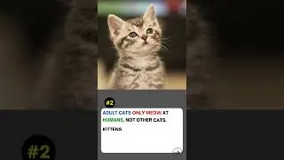 5 OMG Facts You Didn’t Know… Until Now