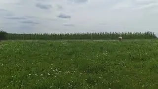 Печально и обидно,но продолжаем жить !!!