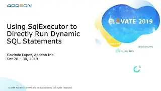 Using SqlExecutor to Directly Run Dynamic SQL Statements