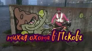 псковская тихая охота 🍄👀🚴‍♀️