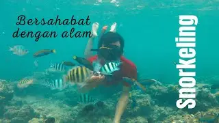 SNORKELING [ PULAU TIDUNG ]
