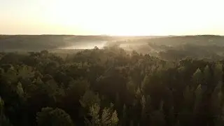 Our Better Earth