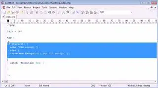 Beginner PHP try, throw, catch java training in jaipur|java training|core java training