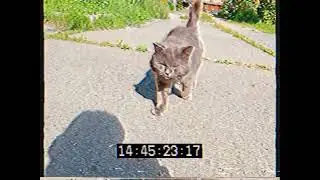 обзор улочки