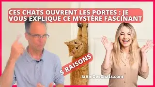 CES CHATS OUVRENT LES PORTES ! POURQUOI VOTRE CHAT FAIT ÇA ? Ep.3