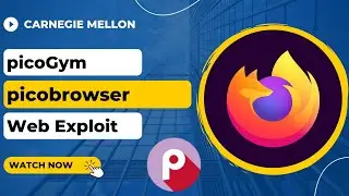 picoGym (picoCTF) Exercise: picobrowser