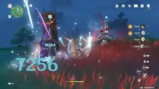 Random Genshin Impact Clips.