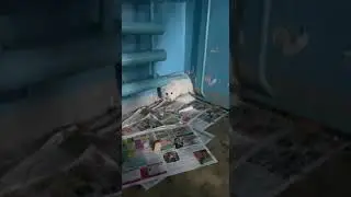 Пушистик! Полярная лисица. Писец. С ним всё хорошо отловили отпустили в тундру 😁