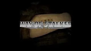 ОБЗОР ИГРЫ WAY OF STALKER / R DAY.