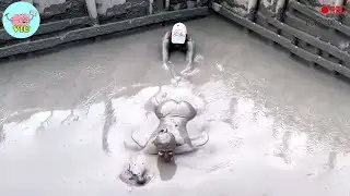 Incredible Moments Caught on Camera 