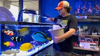 I Converted a HUGE Freshwater Tank to SALTWATER…