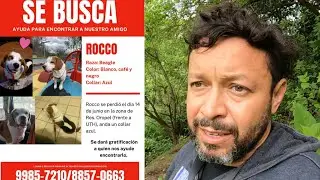Buscando a Rocco