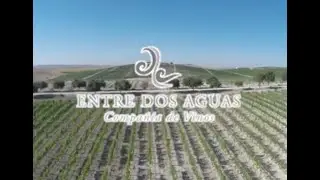 Entre dos aguas, Jerez de la Frontera, Cadiz, SPAIN. VINEYARDS AND DRONE