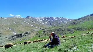 YAZIN YAĞAR KAR BAŞIMA _ TARIK KARA