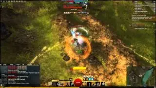 GW2 Warrior Ring of Fire WvW