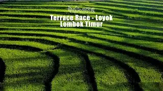 #drone  Terrace Rice - Loyok Kec. Sikur - Lombok Timur