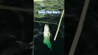 I Got How Much Money For Fishing In Ships At Sea???