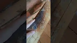 банная печка труба чуть не сгорел пол