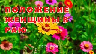 Положение женщины в Раю
