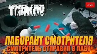 ЛАБОРАНТ из Таркова по заказу Смотрителя! Вернулся на Дементоре Ford Kuga
