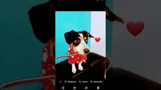 algumas  fotos  da  cacau  e  miusha  ❤